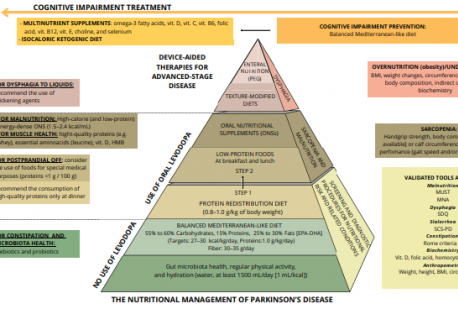 La nuova piramide nutrizionale per il trattamento della malattia di Parkinson