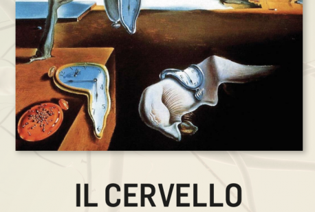 IL CERVELLO E IL TEMPO